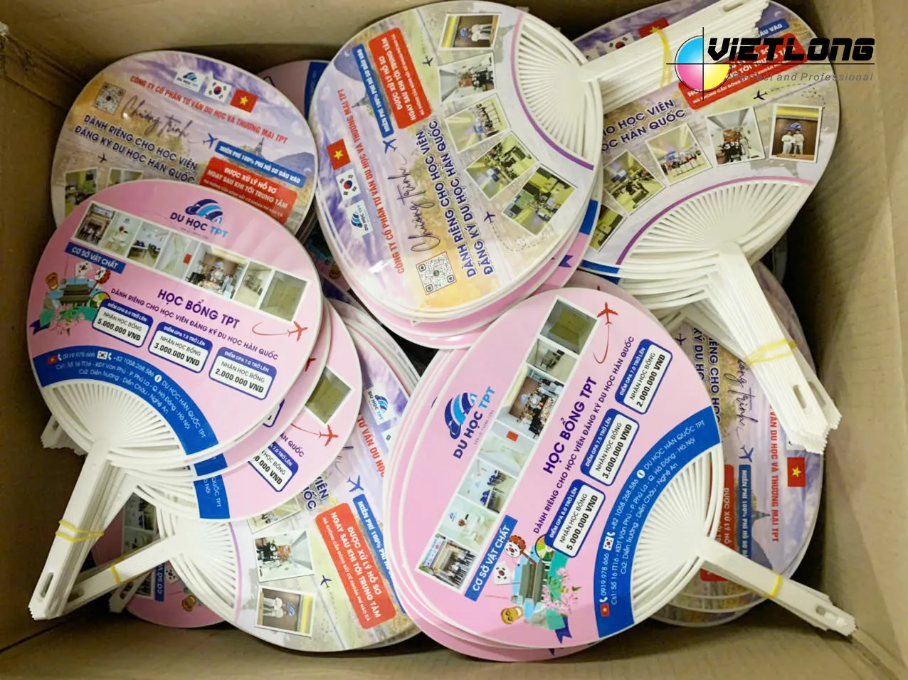 Mẫu sản phẩm in quạt nhựa phục vụ tư vấn du học và tuyển sinh