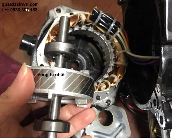 Cận cảnh motor quạt Dasin sử dụng 100% dây đồng và vòng bi Nhật Bản