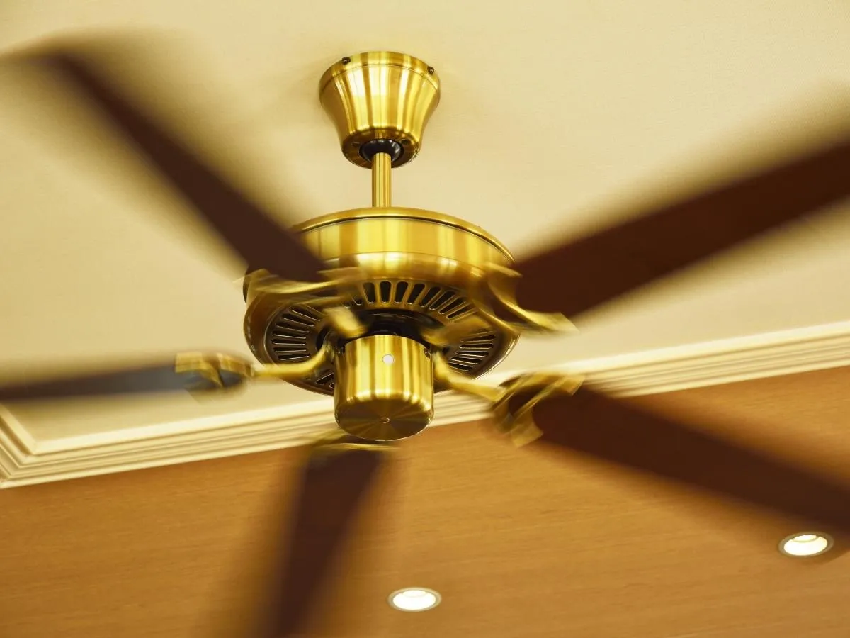 Các dòng quạt trần 5 cánh đa dạng về kiểu dáng và vật liệu trưng bày tại showroom