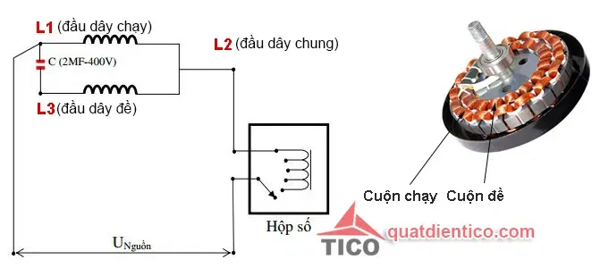 Cấu tạo chi tiết các cuộn dây bên trong stator và các đầu dây ra