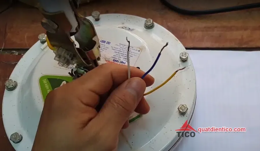 Thực hiện đo điện trở giữa các cặp dây màu trắng, xanh và vàng