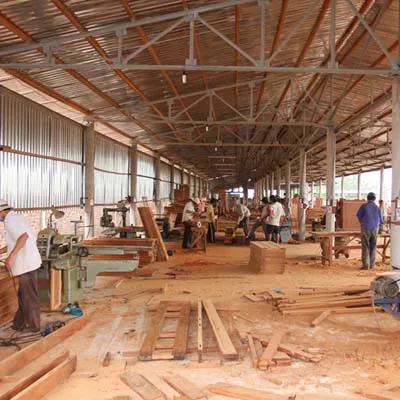 Quy trình sản xuất và kiểm định chất lượng đèn trần tại xưởng gỗ chuyên nghiệp